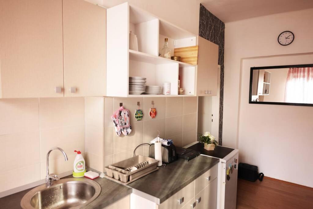 Viki Apartment Centar Nis Bagian luar foto