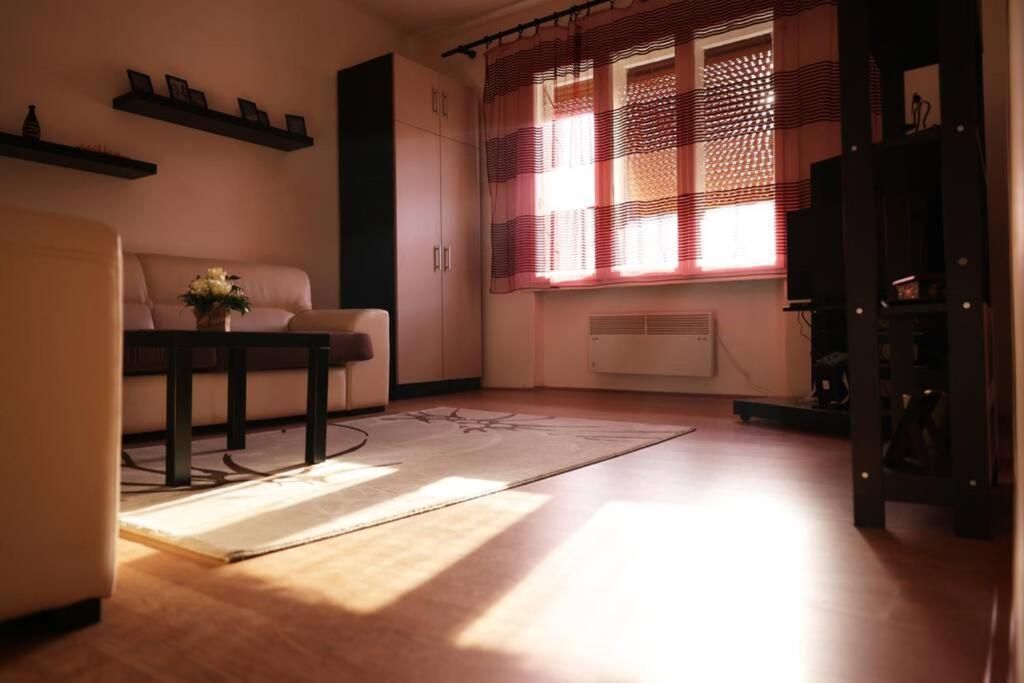 Viki Apartment Centar Nis Bagian luar foto