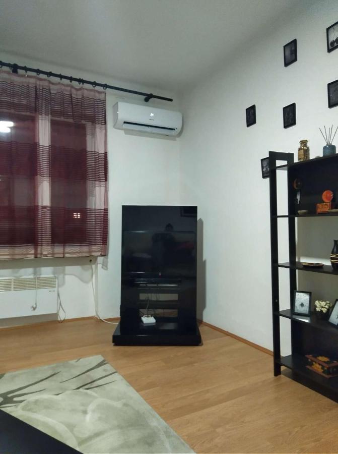 Viki Apartment Centar Nis Bagian luar foto