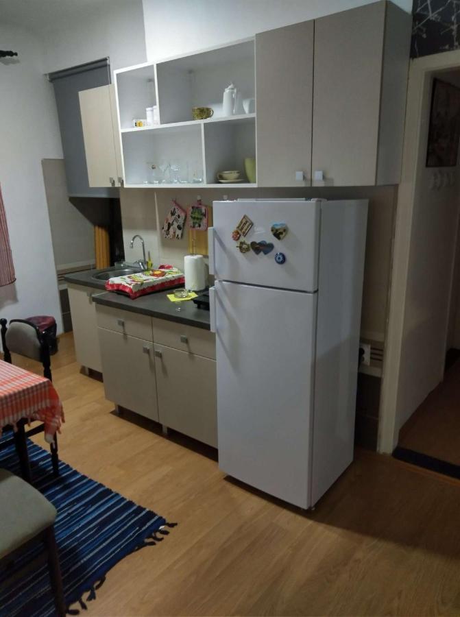 Viki Apartment Centar Nis Bagian luar foto