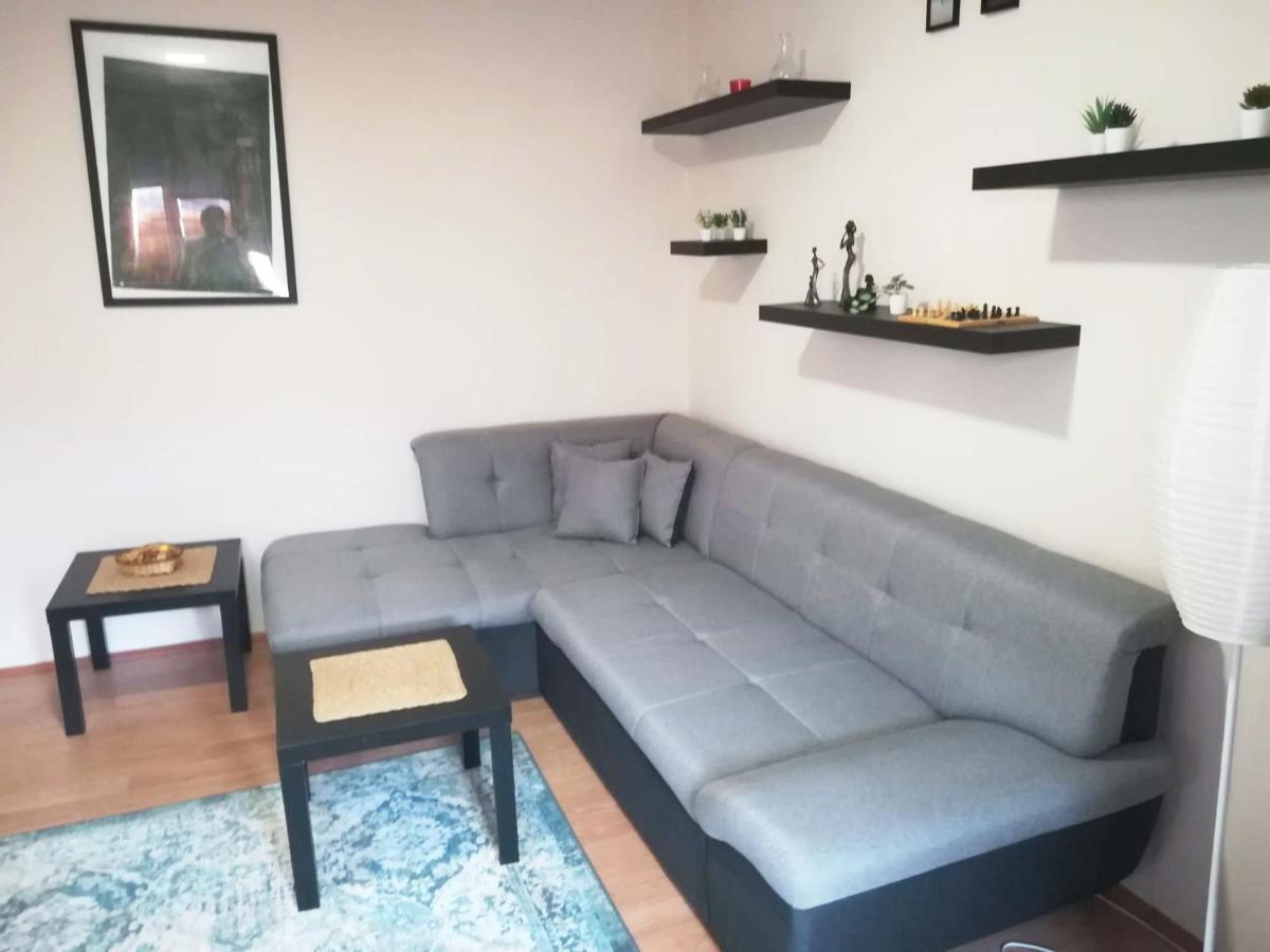 Viki Apartment Centar Nis Bagian luar foto
