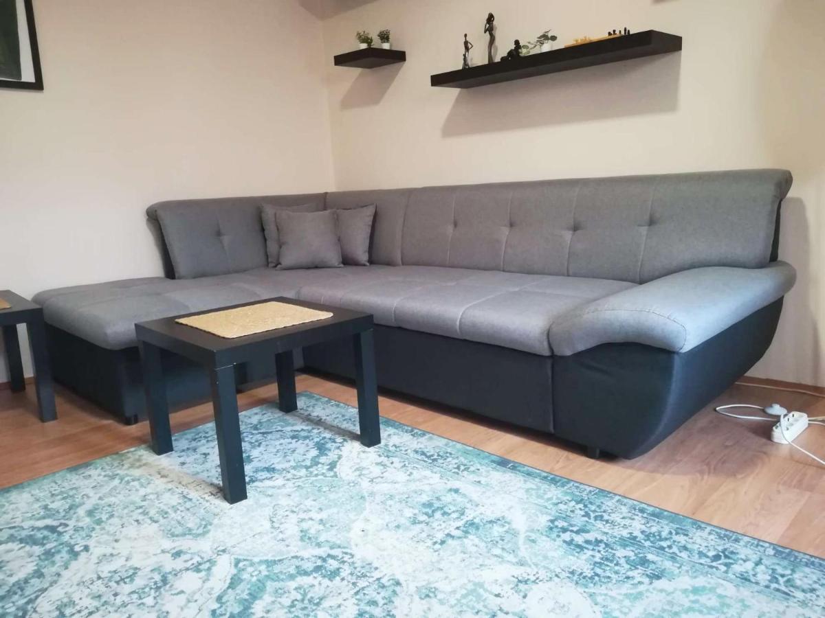 Viki Apartment Centar Nis Bagian luar foto