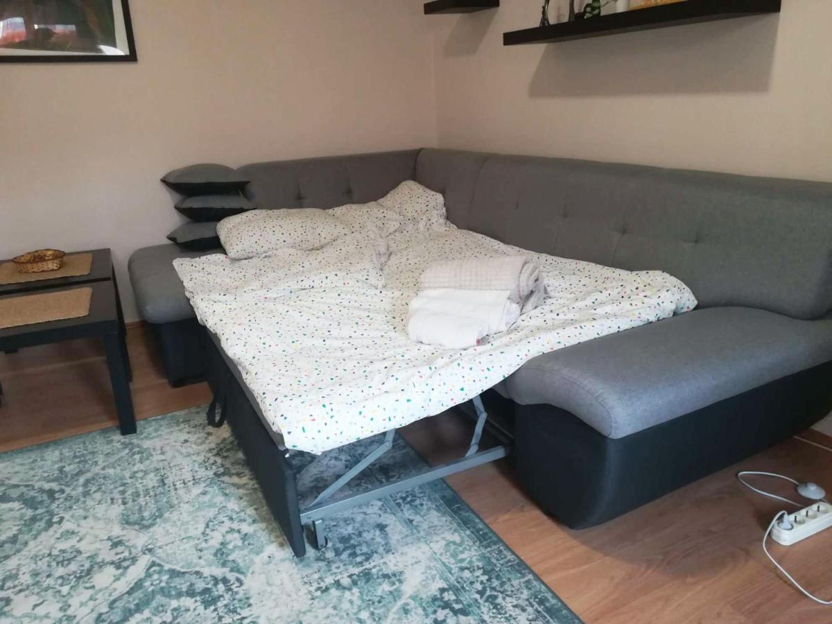 Viki Apartment Centar Nis Bagian luar foto