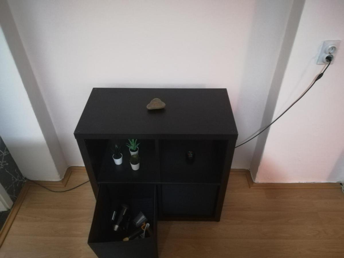 Viki Apartment Centar Nis Bagian luar foto